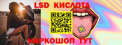 стафф Кингисепп