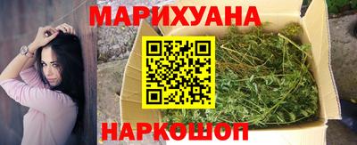 стафф Кингисепп