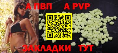 стафф Кингисепп