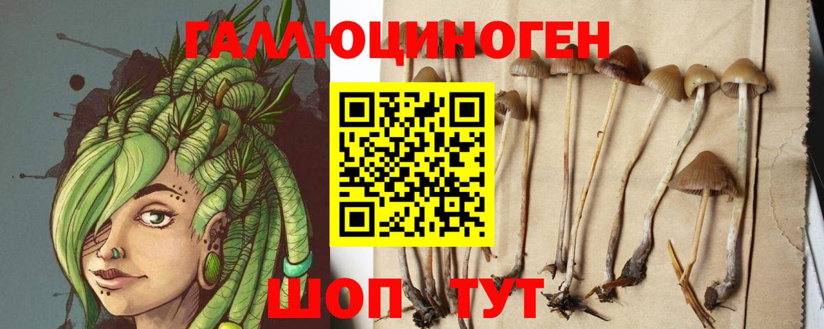 Галлюциногенные грибы мухоморы Азов