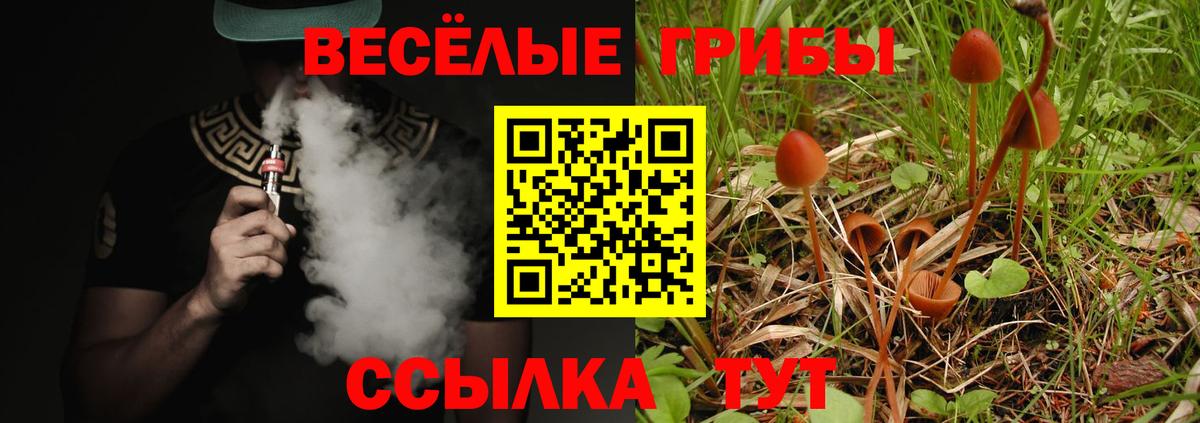 магазин продажи   Вход с VPN  Азов  Псилоцибиновые грибы ЛСД 